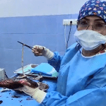 جفت بارداری چیست